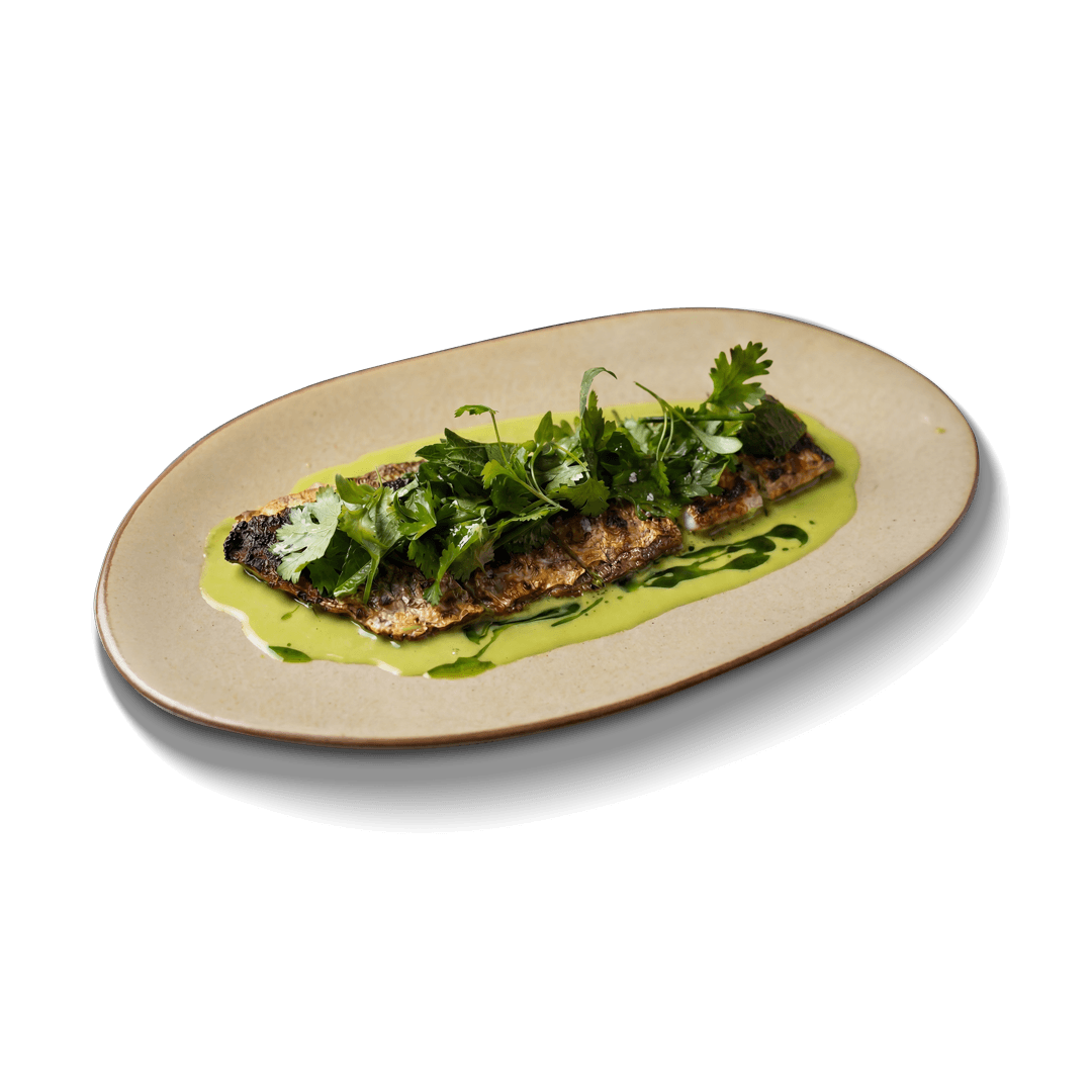 Greek Seabass
